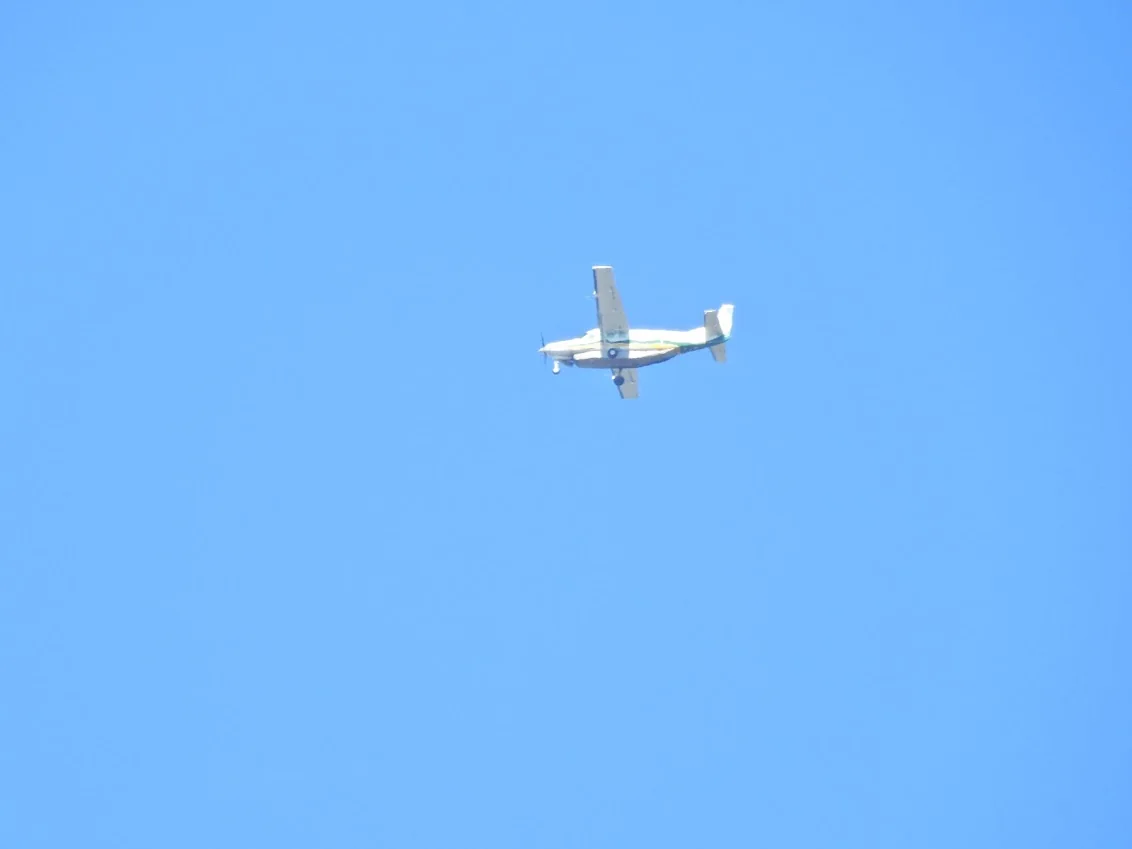 Airplane in the sky for the BanglaPlus88 Aviator guide